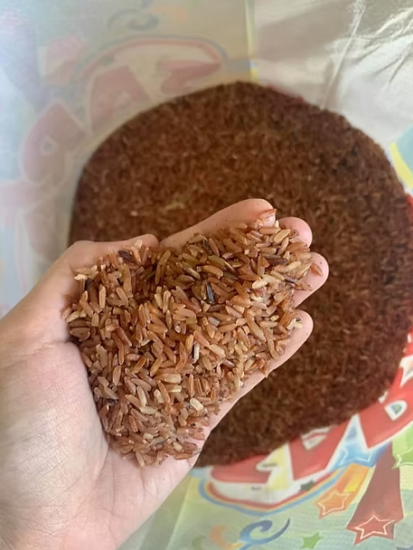 Organic Rice
